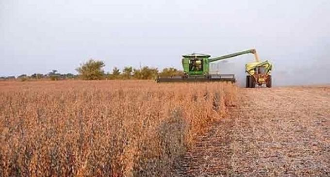 En la cosecha, habrá más dólares para reservas que para importaciones