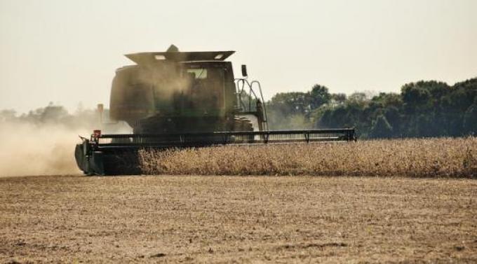 Pese a lluvias, se cosechó un 14% de soja