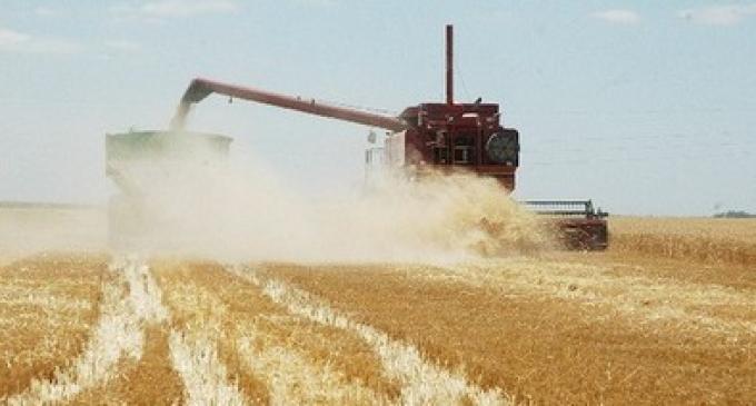 La economía creció 1,3 por ciento en el mes de febrero, por impulso del agro