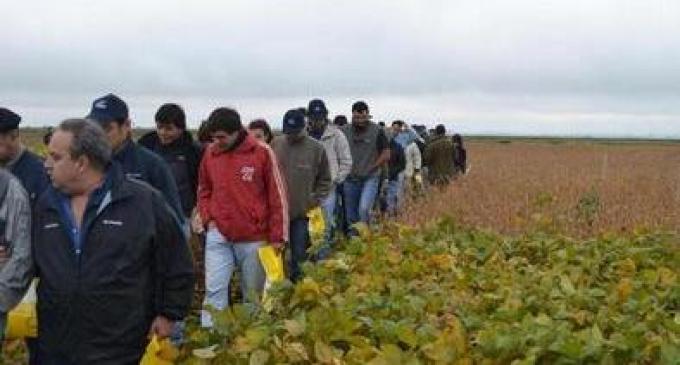 La biotecnología es una aliada contra la sequía.