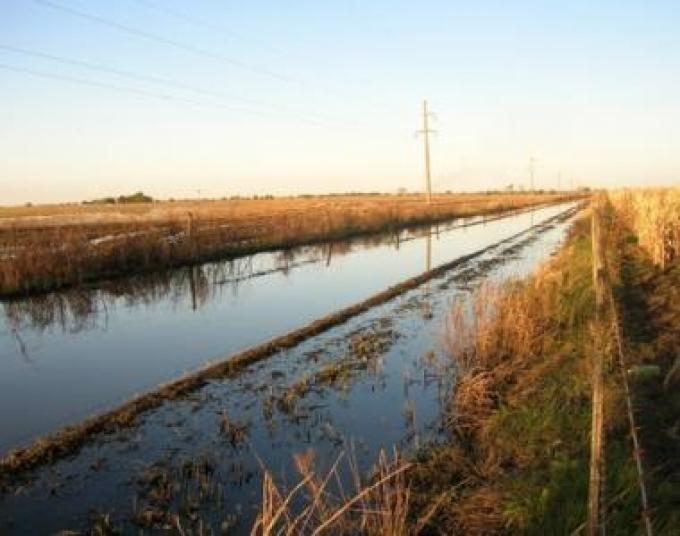 Los caminos rurales presionan a la soja