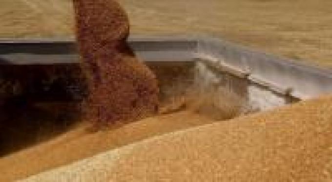 La agroindustria de soja rompió nuevo récord