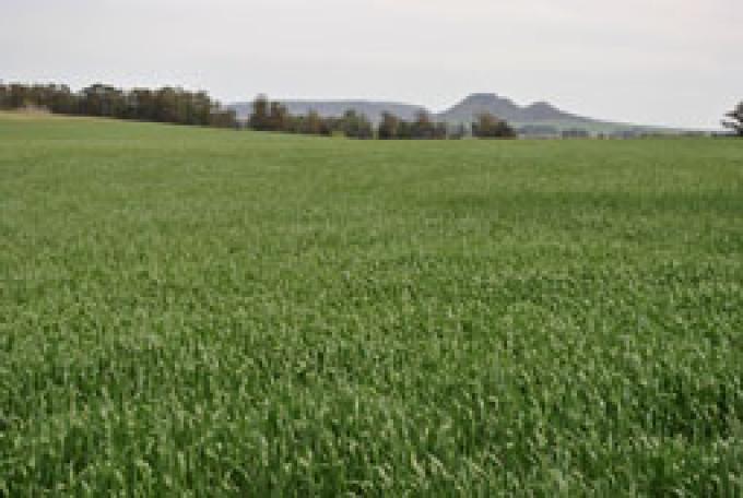 Argentinos venden sus campos en Uruguay
