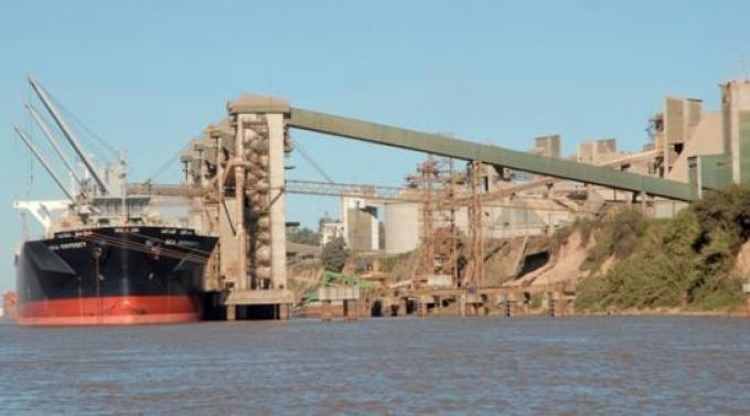 Autorizarán exportaciones cuando finalice la cosecha