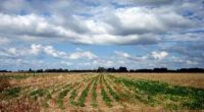 Advierten por pérdida de nutrientes de los suelos