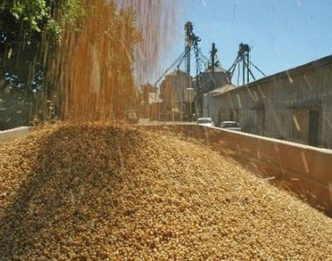 Divergencias en el agro por un plan para registrar las ventas de granos