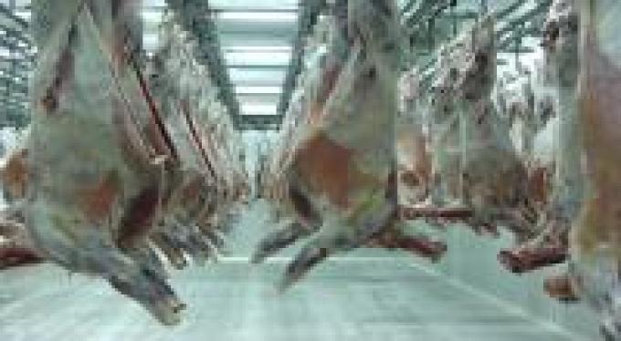 Crece el consumo de carne ovina