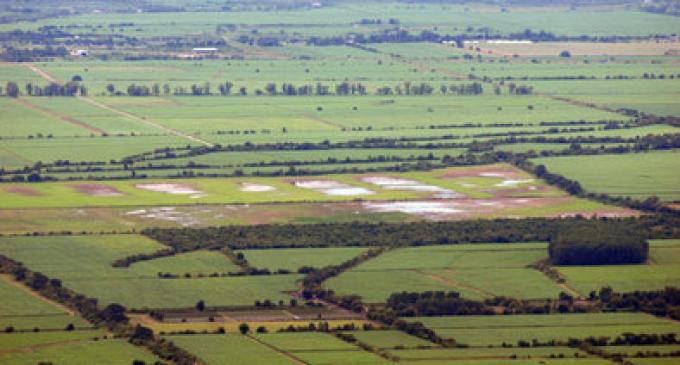 Por la baja de precios, la campaña agrícola deja quebrantos en campos alquilados.