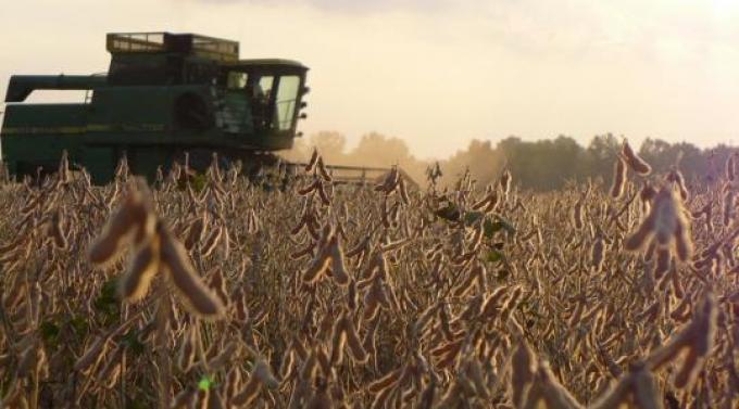 Viento de cola para la producción de granos