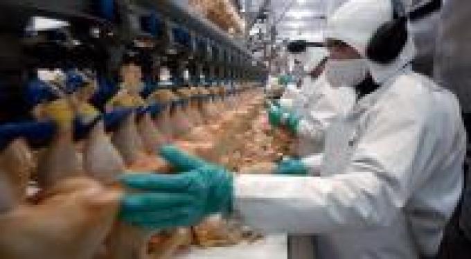 Comenzaron las exportaciones avícolas hacia Rusia