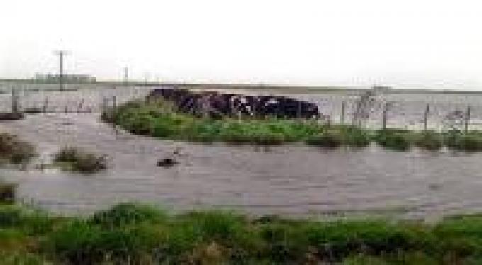 70% de los campos ganaderos de Ayacucho está bajo el agua