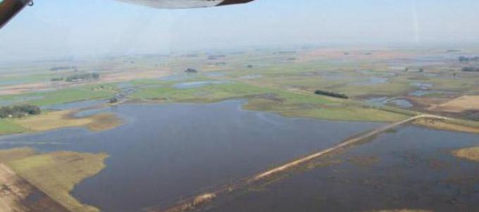 Las lluvias del sur de Buenos Aires diversificaron el estado de la fina