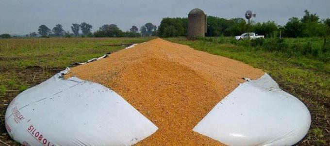 Cañuelas: denuncian nuevas roturas intencionales de silos-bolsas con maíz