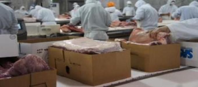 Las exportaciones de carne superarán a las desoja en Uruguay en 2015