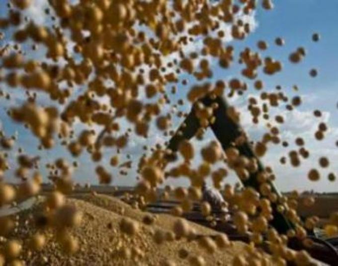 Estrategias comerciales para el ciclo agrícola 2014/15 – CREA