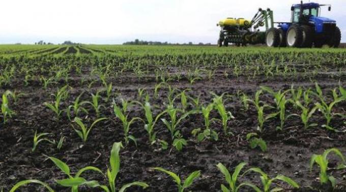 La agricultura se torna inviable en los campos del Noroeste argentino.