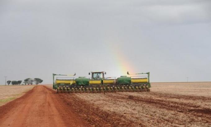 Caería un 5% el área sembrada de soja en el 2015