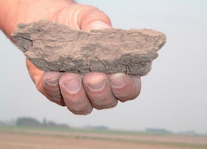 Siembra directa: Consejos para evitar la compactación del suelo