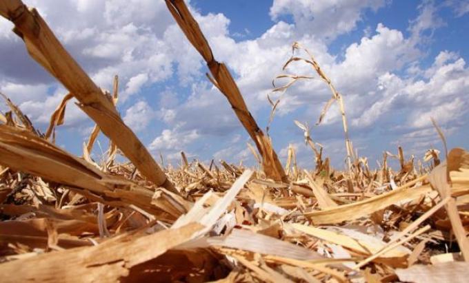 Aapresid: hay un costo ambiental por mover el suelo