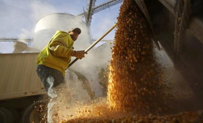 Aparecen pisos en el mercado de granos