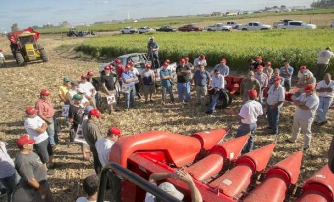 Llega la muestra que espera volver a despertar al campo