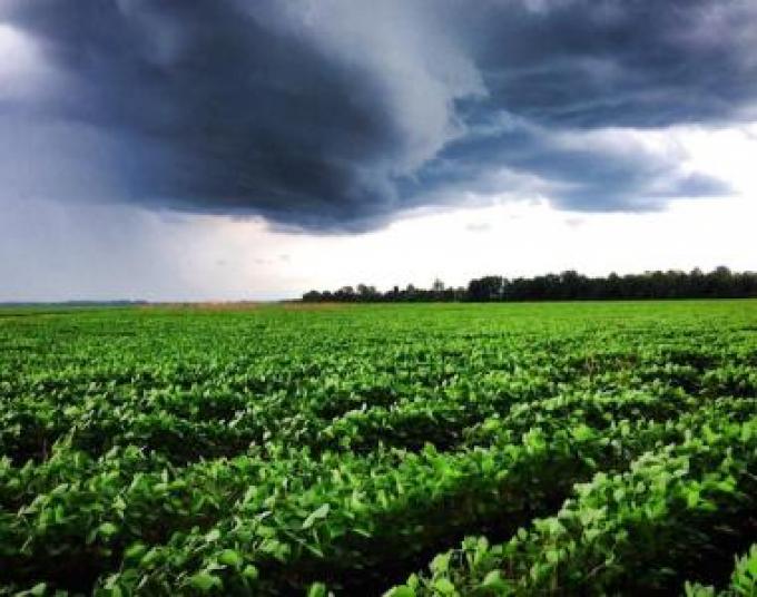 Clima: una pausa en las lluvias