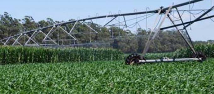 Aseguran que la biotecnología reduce el uso de agua en la agricultura