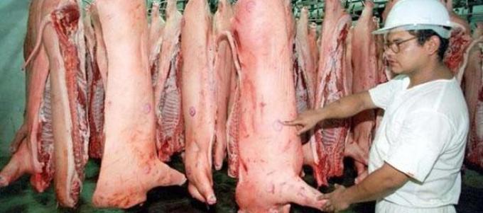 La producción y consumo de carne porcina alcanzó máximos históricos en 2014