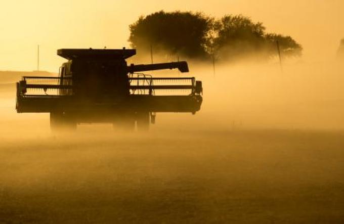 Los bajos márgenes del agro, principal freno de la inversión.