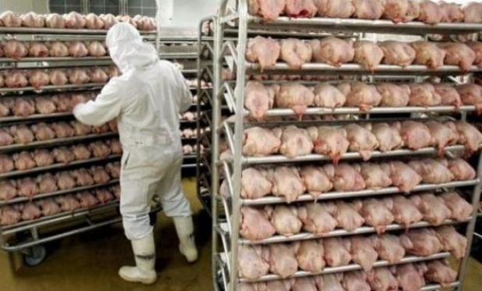 Uruguay importa pollos desde Brasil para bajar el precio