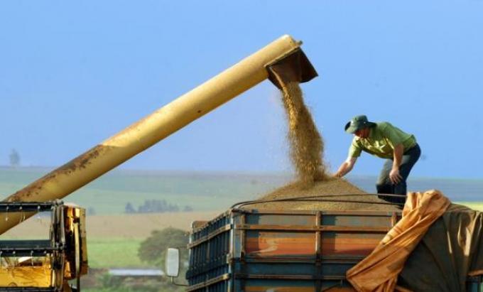 Brasil, rumbo a lograr cosecha récord de casi 200 M de toneladas