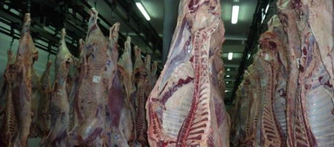 "Creció la faena total y la producción de carne ascendió a 685 mil Tns".