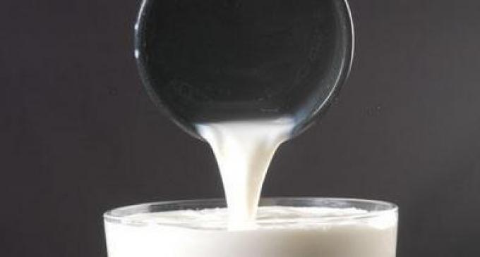 La láctea Verónica y el INTA se asocian para producir una leche reducida en grasas