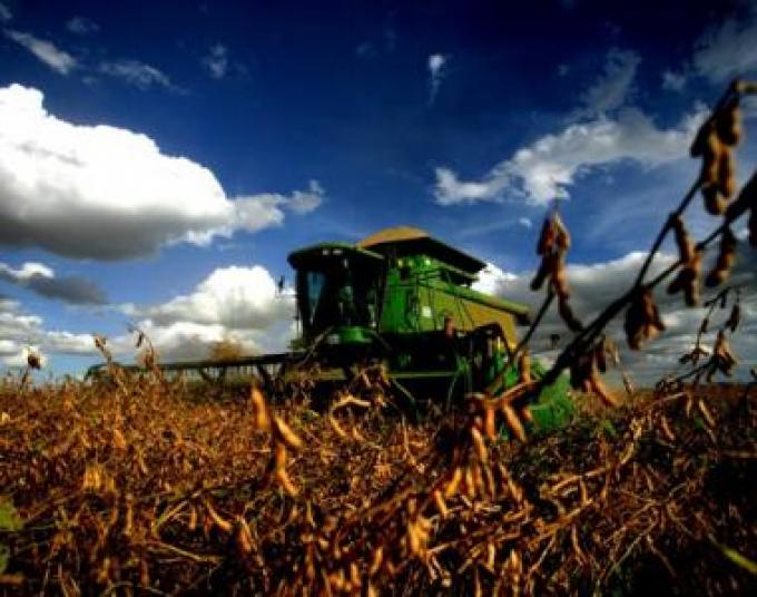 5 millones de toneladas más de soja para la zona núcleo
