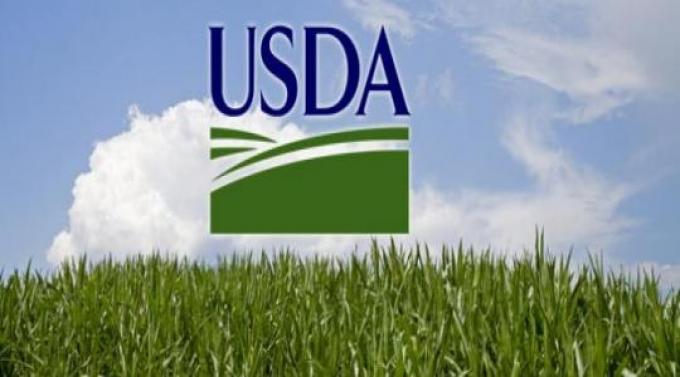 USDA: más producción de soja en Argentina