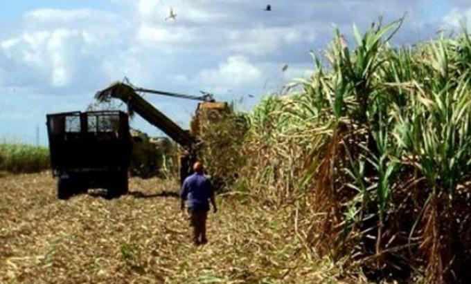 Azúcar: piden subir corte de naftas con bioetanol