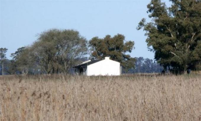 El gran éxodo: el campo se vacía y huye a ciudades hacinadas