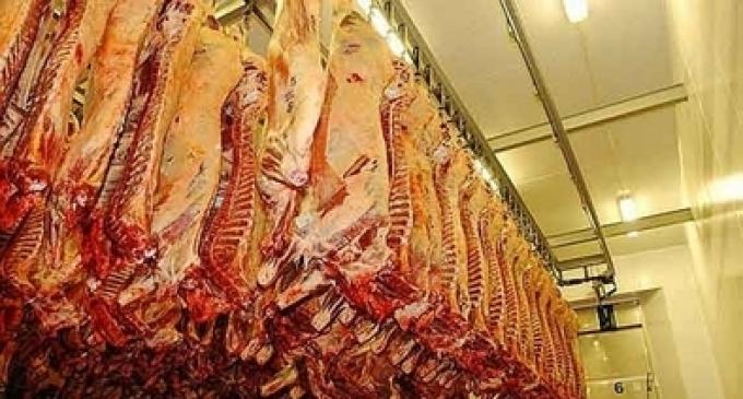 Carne: pese a la apertura de Estados Unidos exportadores amenazan con suspensiones.