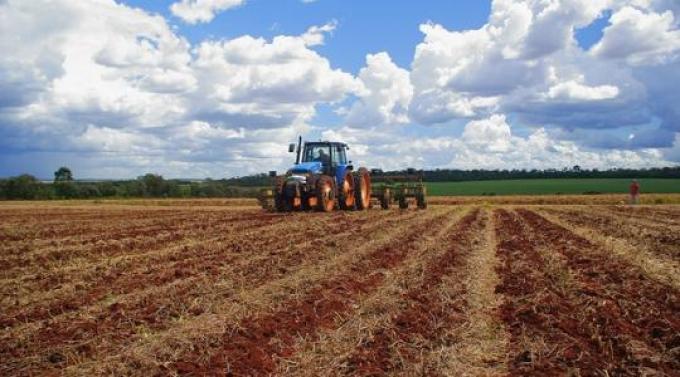 Crítico escenario para los productores del norte argentino