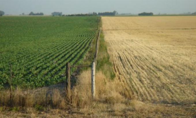 Muchos campos quedarán sin sembrar en Córdoba