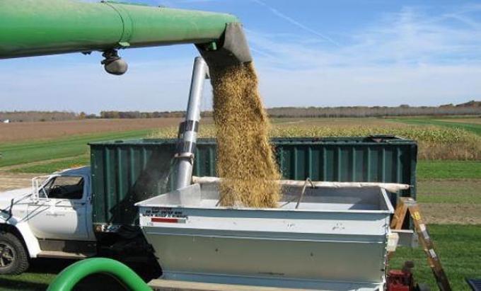 Reina la incertidumbre para los cereales en Argentina