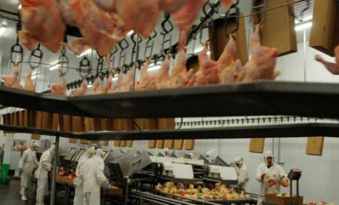 Avex invierte y pasa del pollo fresco a la presa congelada