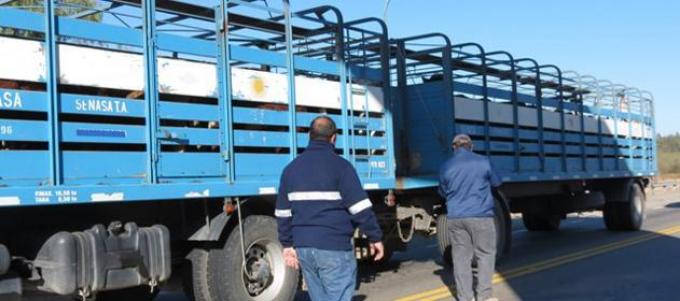 Ganadería: se espera buen acatamiento al paro
