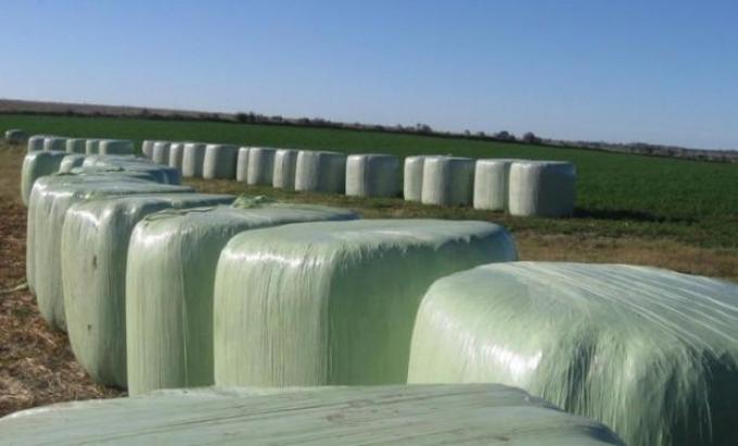 Anuncian por segunda vez la habilitación del mercado chino para fardos de alfalfa