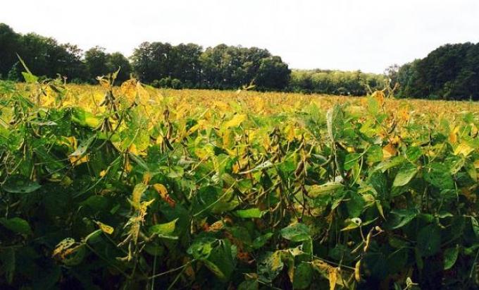 Alerta roja para la agricultura nacional