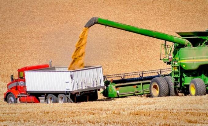 Reportes varios e información que sigue alimentando al cálculo fundamental.
