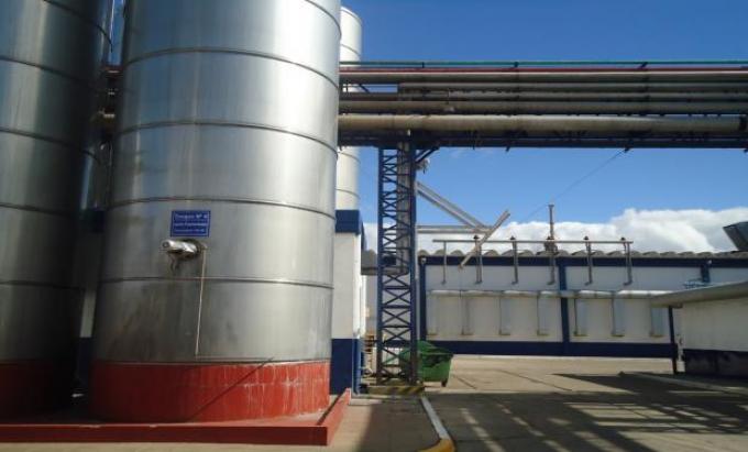 Exportación de leche en polvo acumula diez meses de pérdidas