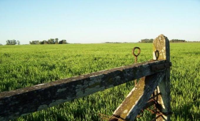 En Córdoba cae el valor de los alquileres agrícolas