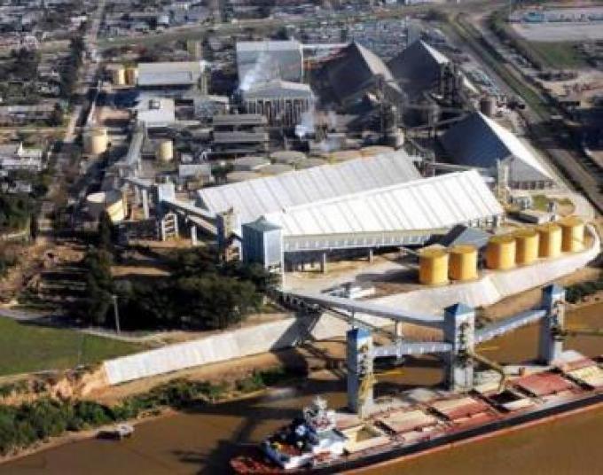 Confirman que se termina el “fideicomiso aceitero”