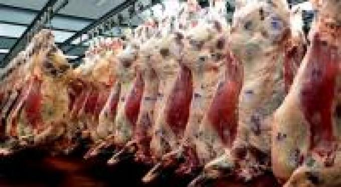 Carne: no descartan la importación para frenar los precios